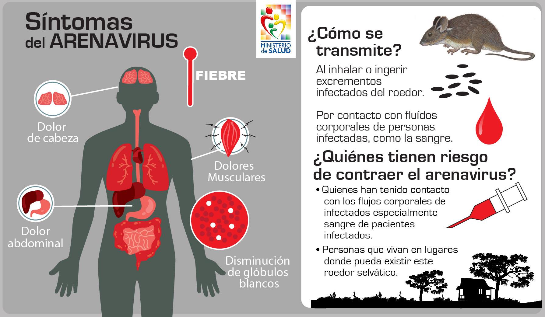 Sintomas del Arenavirus