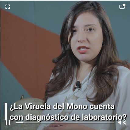 VideoVirMono 4